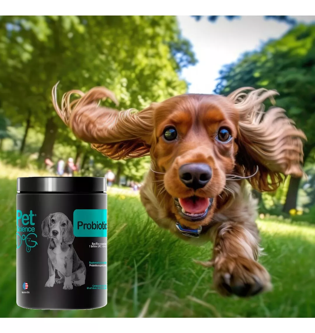 SUPLEMENTO PERRO 60 COMPRIMIDOS PETSCIENCE PROBIOTICO TU MASTICABLES - 4