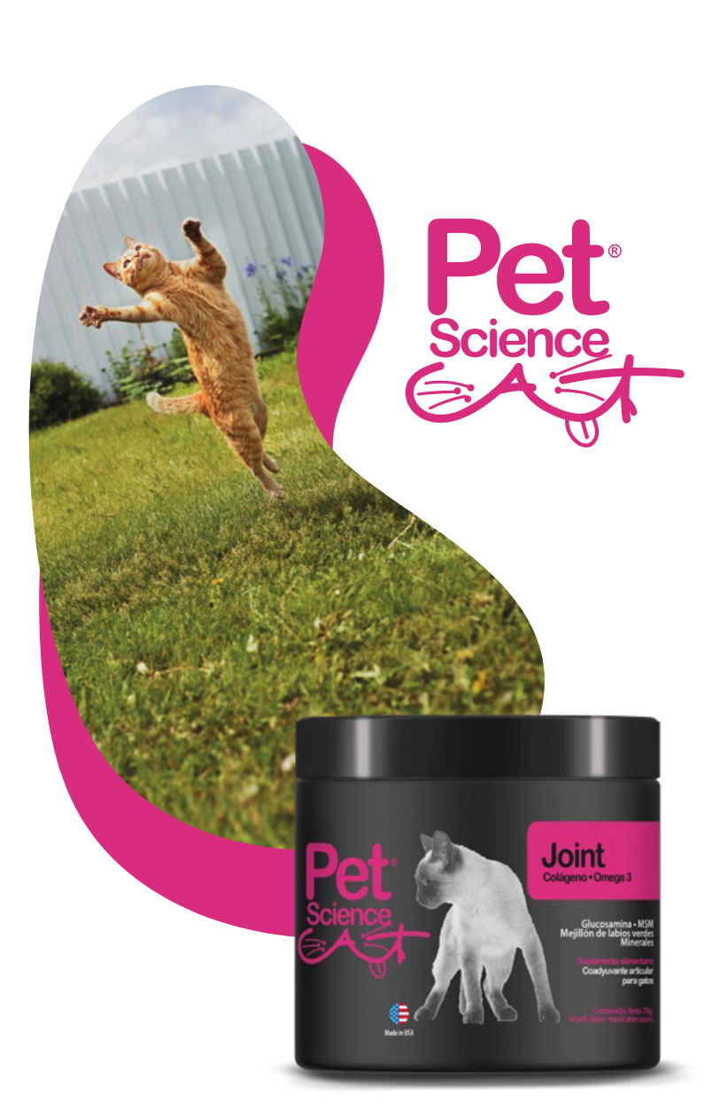 SUPLEMENTO GATO 60 COMPRIMIDOS PETSCIENCE JOIN CAT COLAGENO + OMEGA3 MASTICABLE - 3