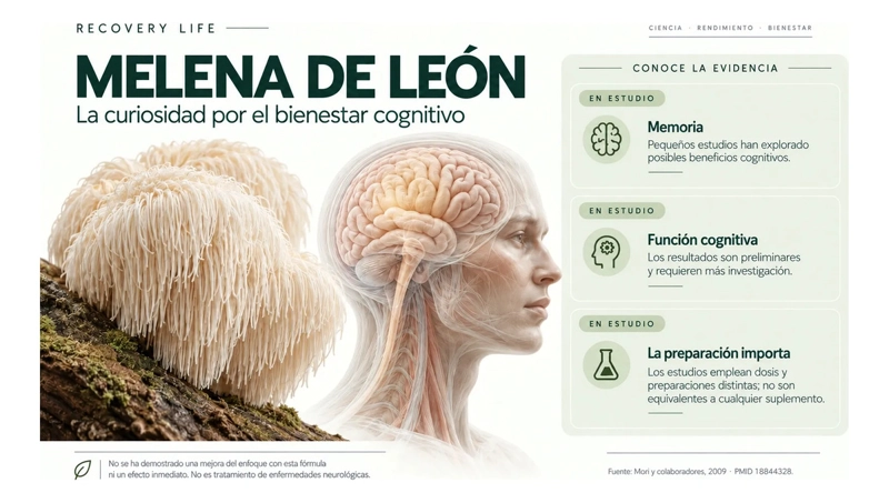 Melena De León Recovery Life 150 Cápsulas 600 Mg Por Porción - 3