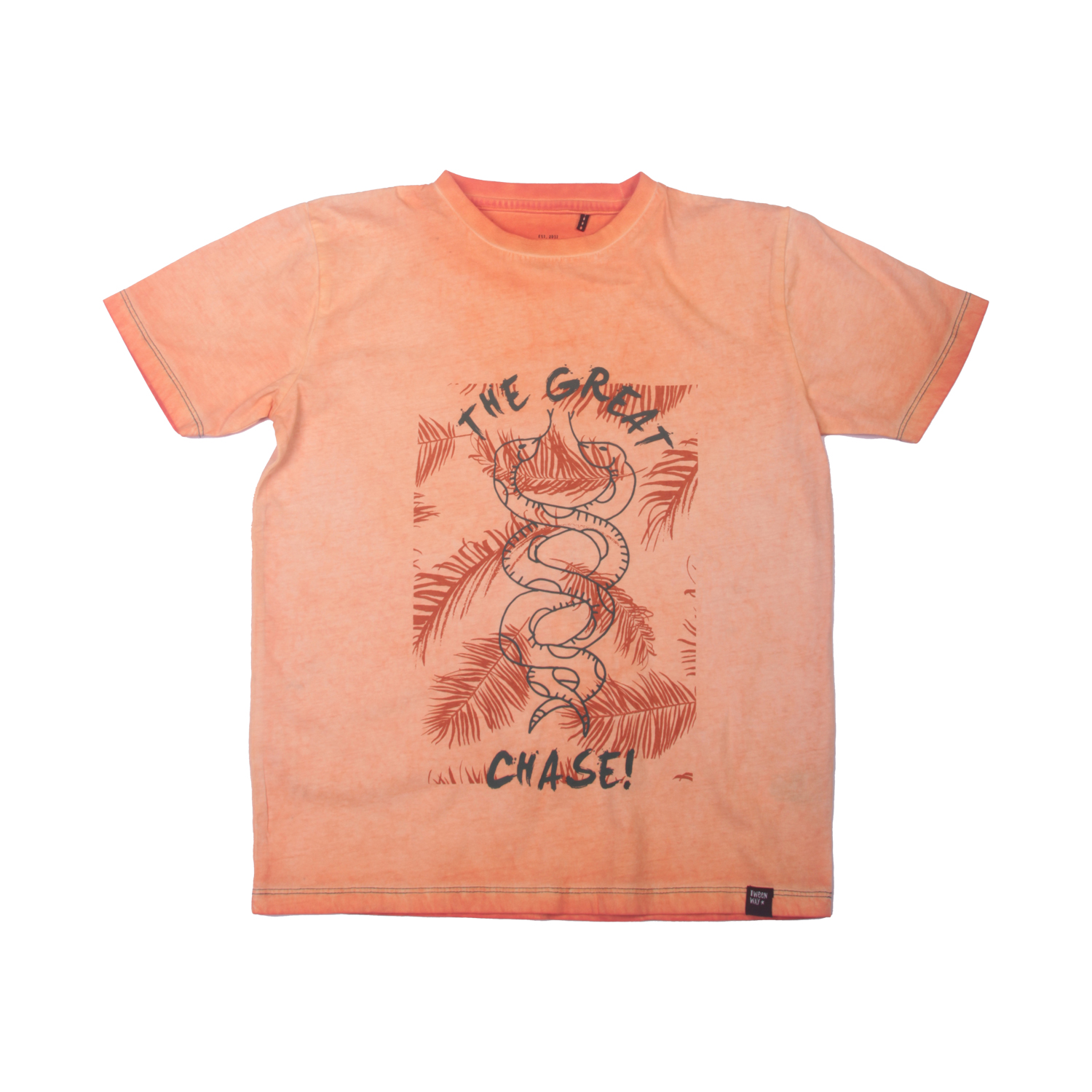 POLERA NIÑO NARANJA PILLIN - 1