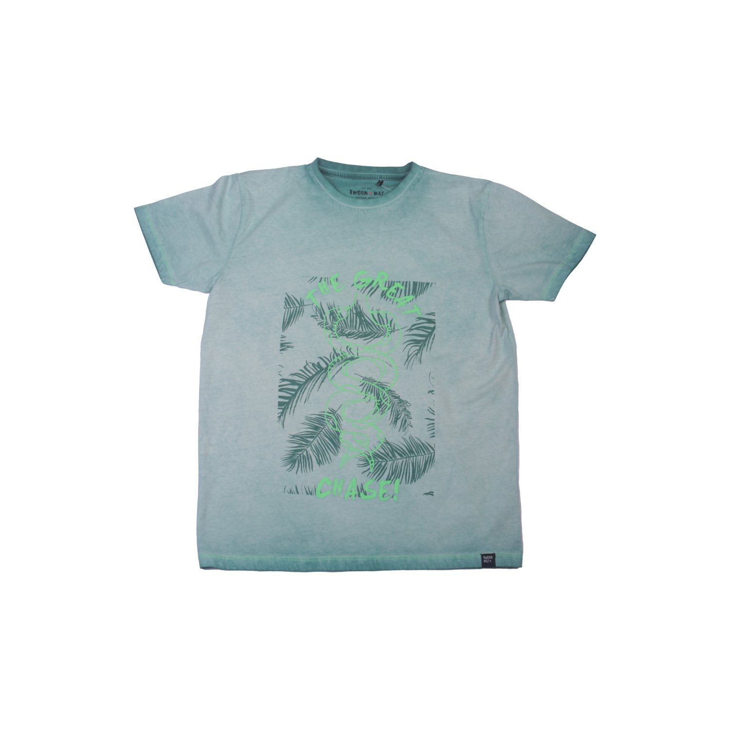 POLERA NIÑO PILLÍN TVW619VER VERDE - 1
