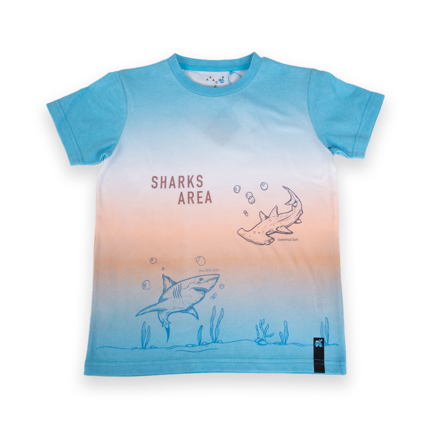 POLERA MANGA CORTA ALGODÓN NIÑO PILLÍN PVA642-24CAL TURQUESA - 1