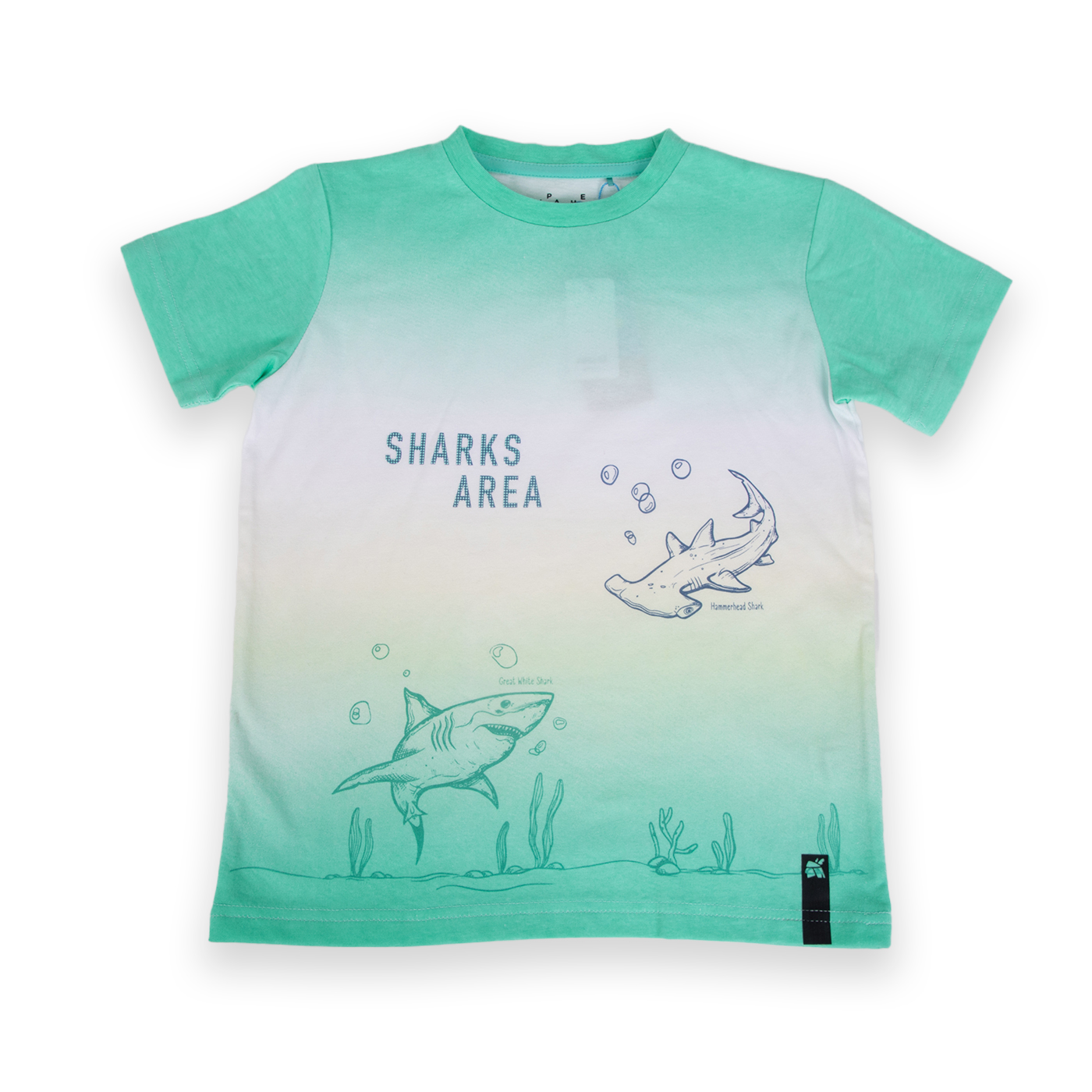 POLERA MANGA CORTA ALGODÓN NIÑO PILLÍN PVA642-24VER VERDE - 1