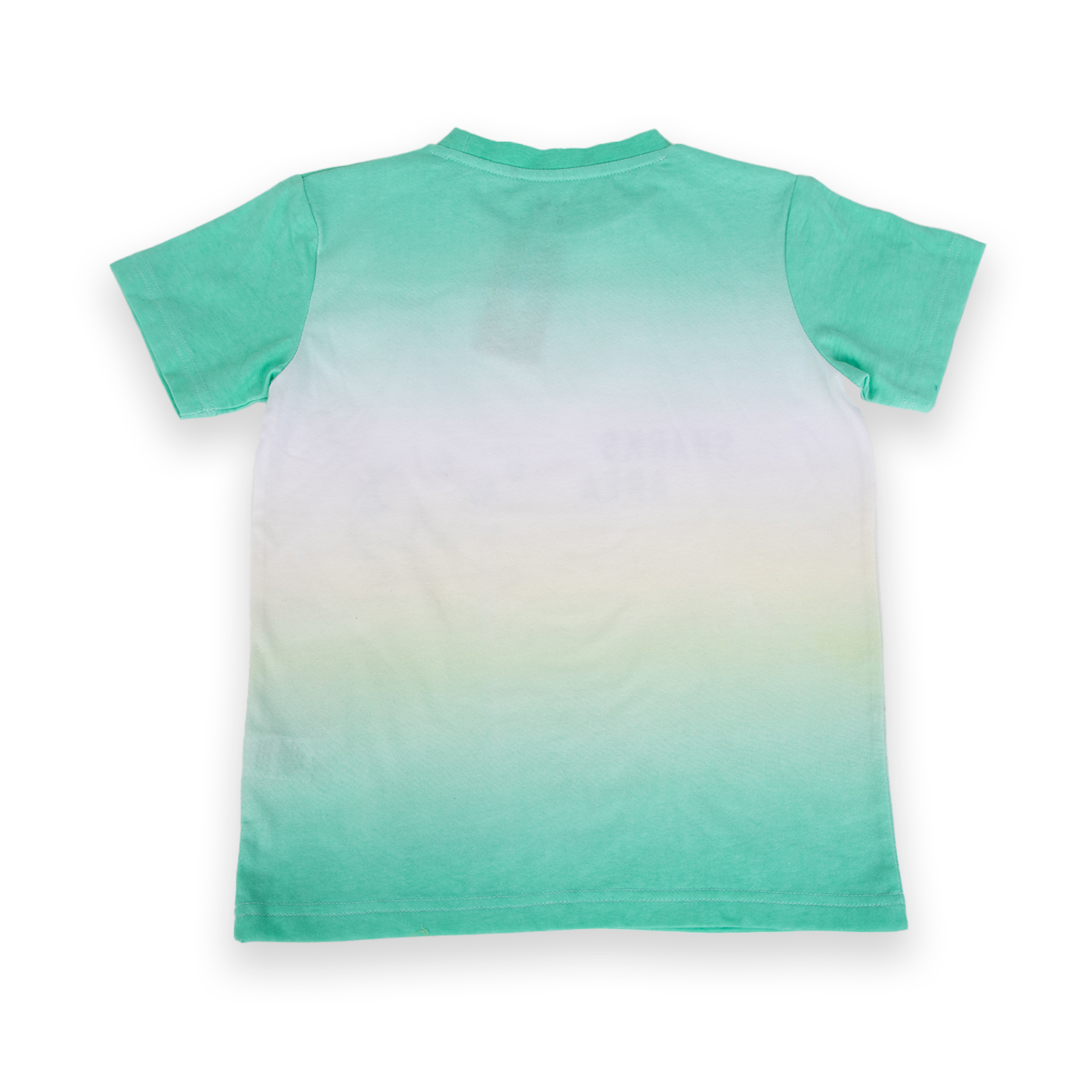 POLERA MANGA CORTA ALGODÓN NIÑO PILLÍN PVA642-24VER VERDE - 3