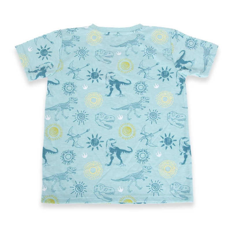 POLERA NIÑO CELESTE PILLIN - 3