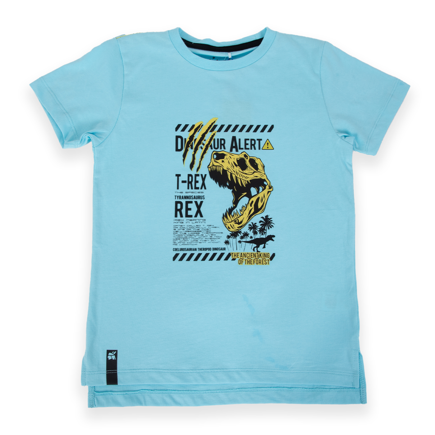 POLERA MANGA CORTA ALGODÓN NIÑO PILLÍN PVA663-24CAL TURQUESA - 1