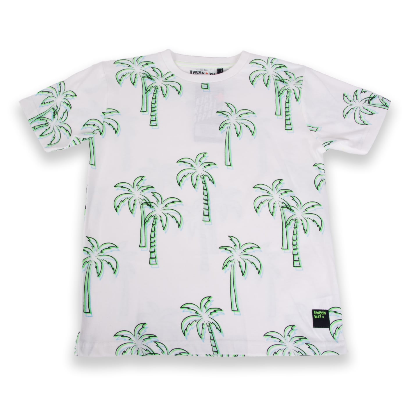 POLERA MANGA CORTA ALGODÓN NIÑO PILLÍN TVA616-24BCO PILLIN - 1