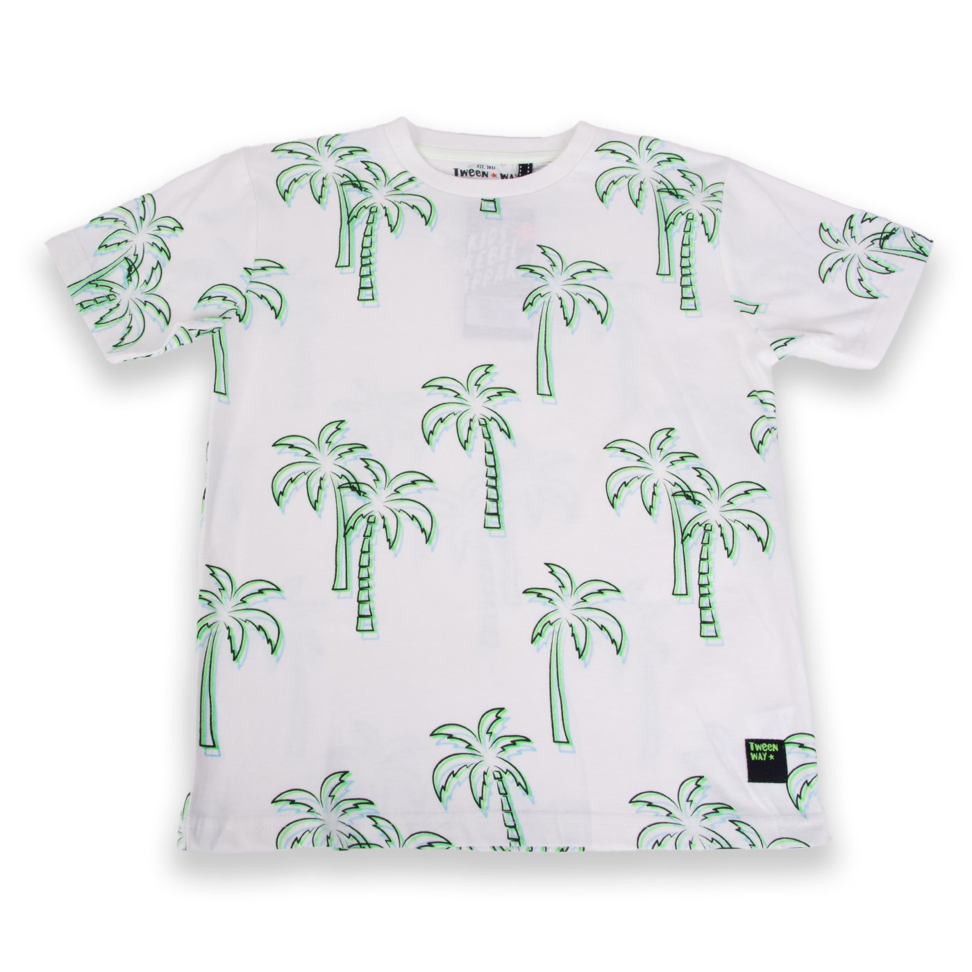 POLERA MANGA CORTA ALGODÓN NIÑO PILLÍN TVA616-24BCO PILLIN - 1