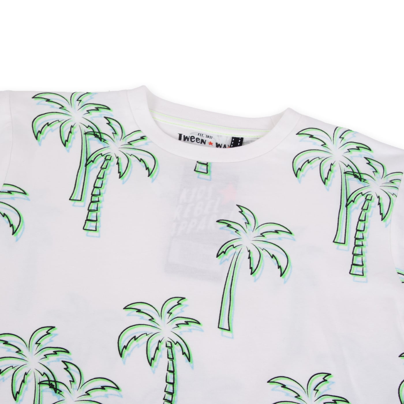 POLERA MANGA CORTA ALGODÓN NIÑO PILLÍN TVA616-24BCO PILLIN - 2