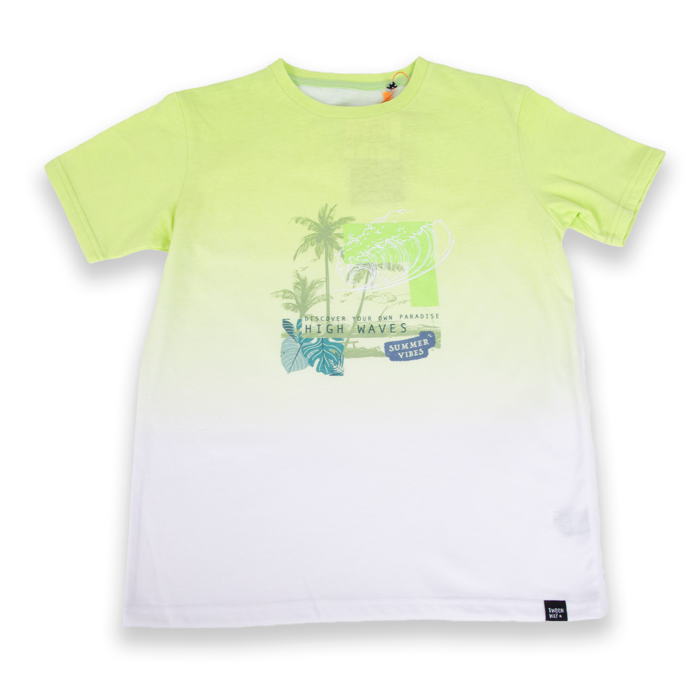 POLERA MANGA CORTA ALGODÓN NIÑO PILLÍN TVA617-24VER VERDE - 1
