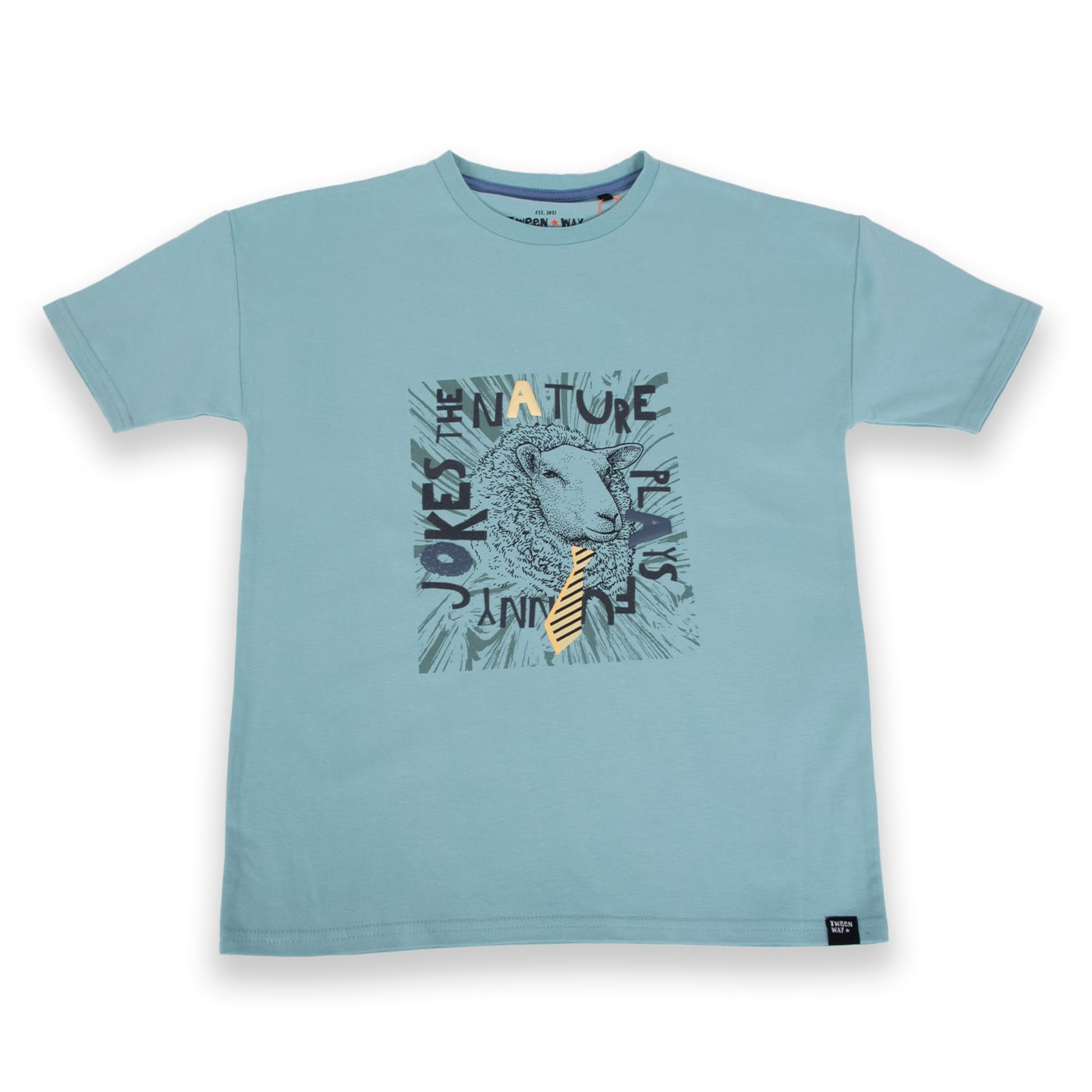 POLERA MANGA CORTA ALGODÓN NIÑO PILLÍN TVA606-24VER VERDE - 1