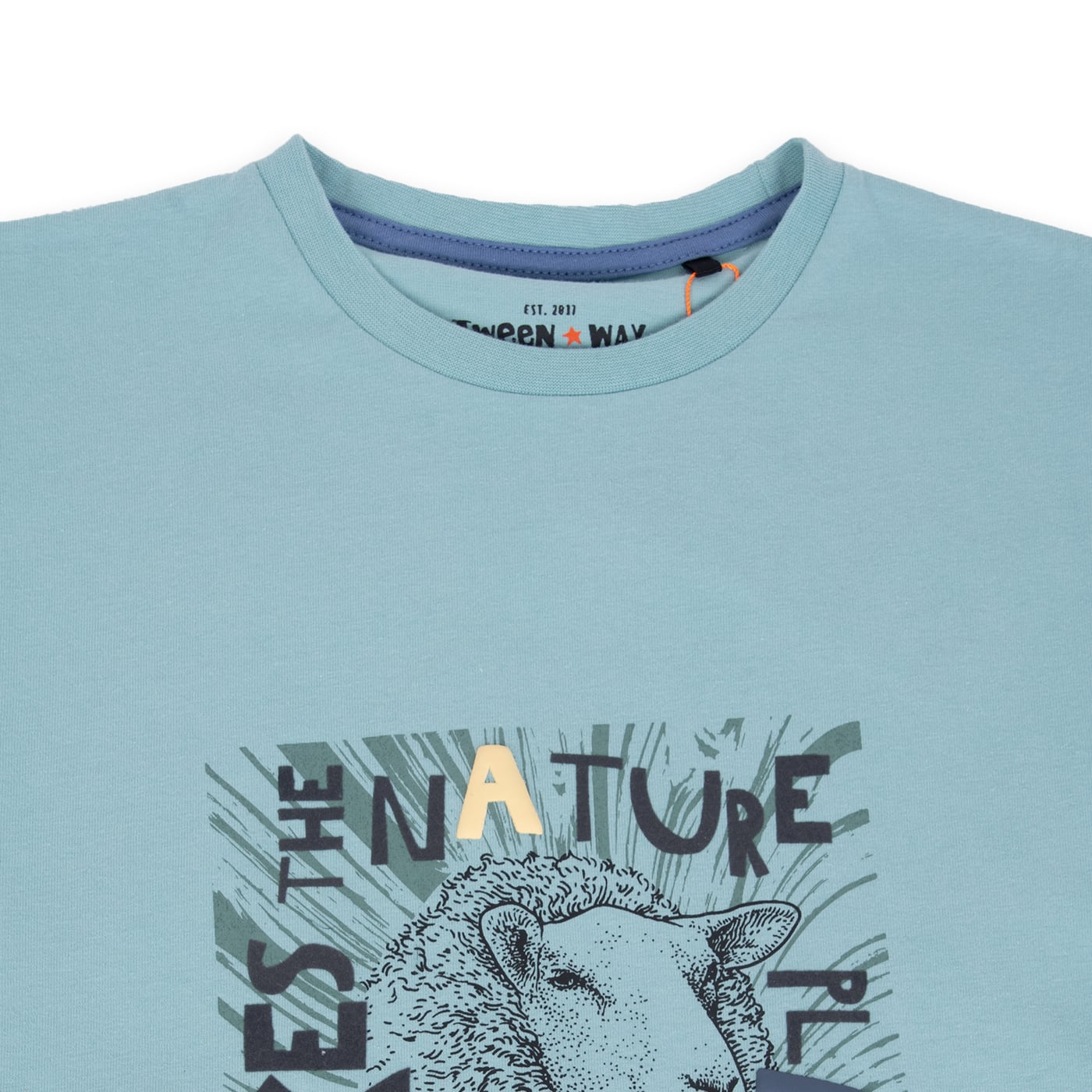POLERA MANGA CORTA ALGODÓN NIÑO PILLÍN TVA606-24VER VERDE - 2