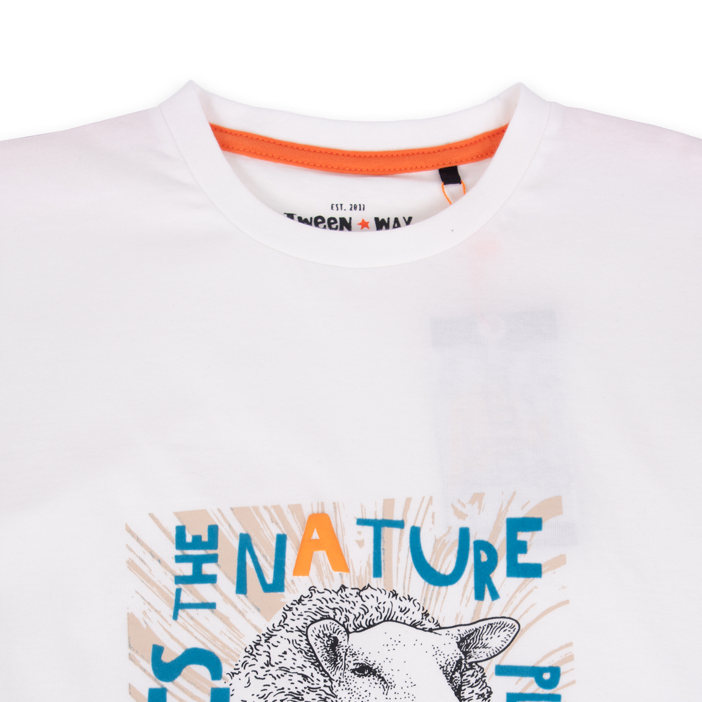 POLERA MANGA CORTA ALGODÓN NIÑO PILLÍN TVA606-24ARE ARENA - 2