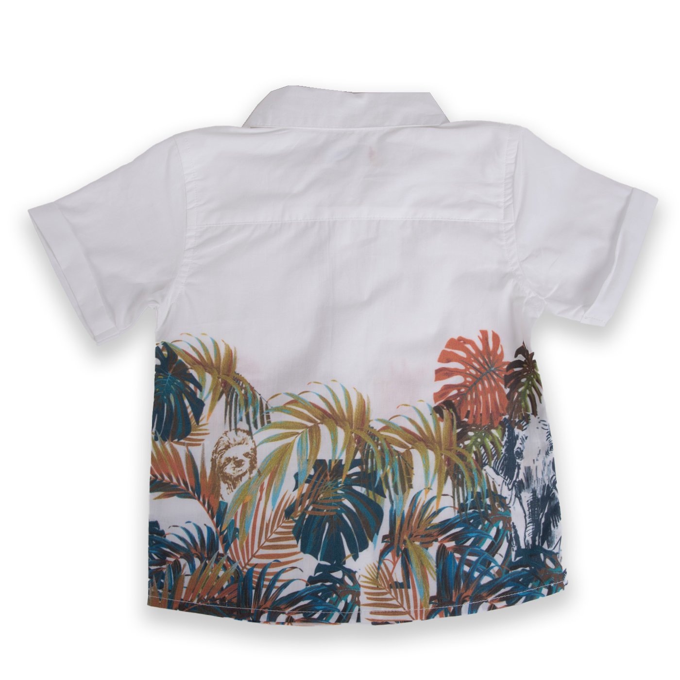 CAMISA MANGA CORTA ALGODÓN NIÑO PILLÍN PVA820-24BCO BEBÉ - 3