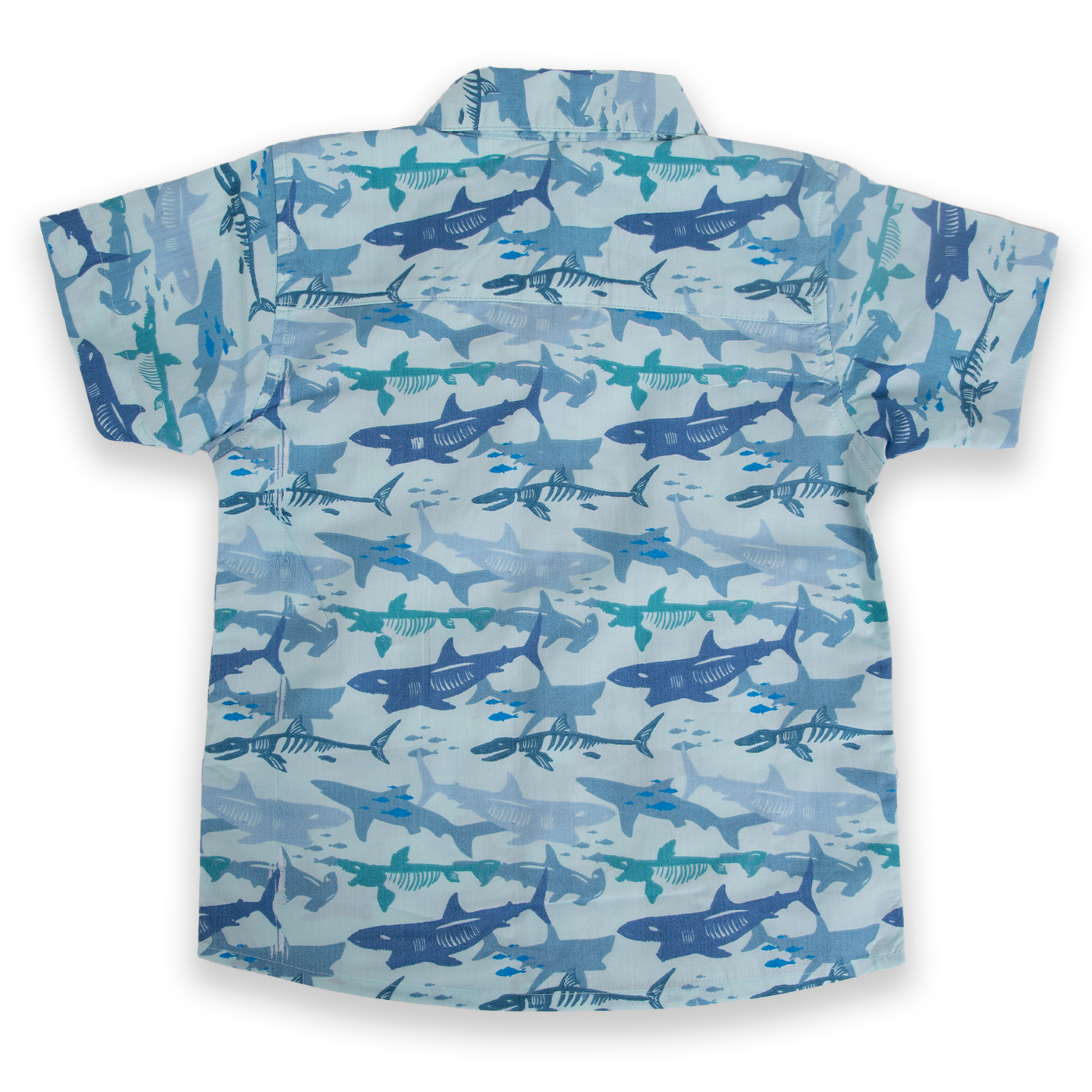 CAMISA MANGA LARGA ALGODÓN NIÑO PILLÍN PVA809-24CEL CELESTE - 3