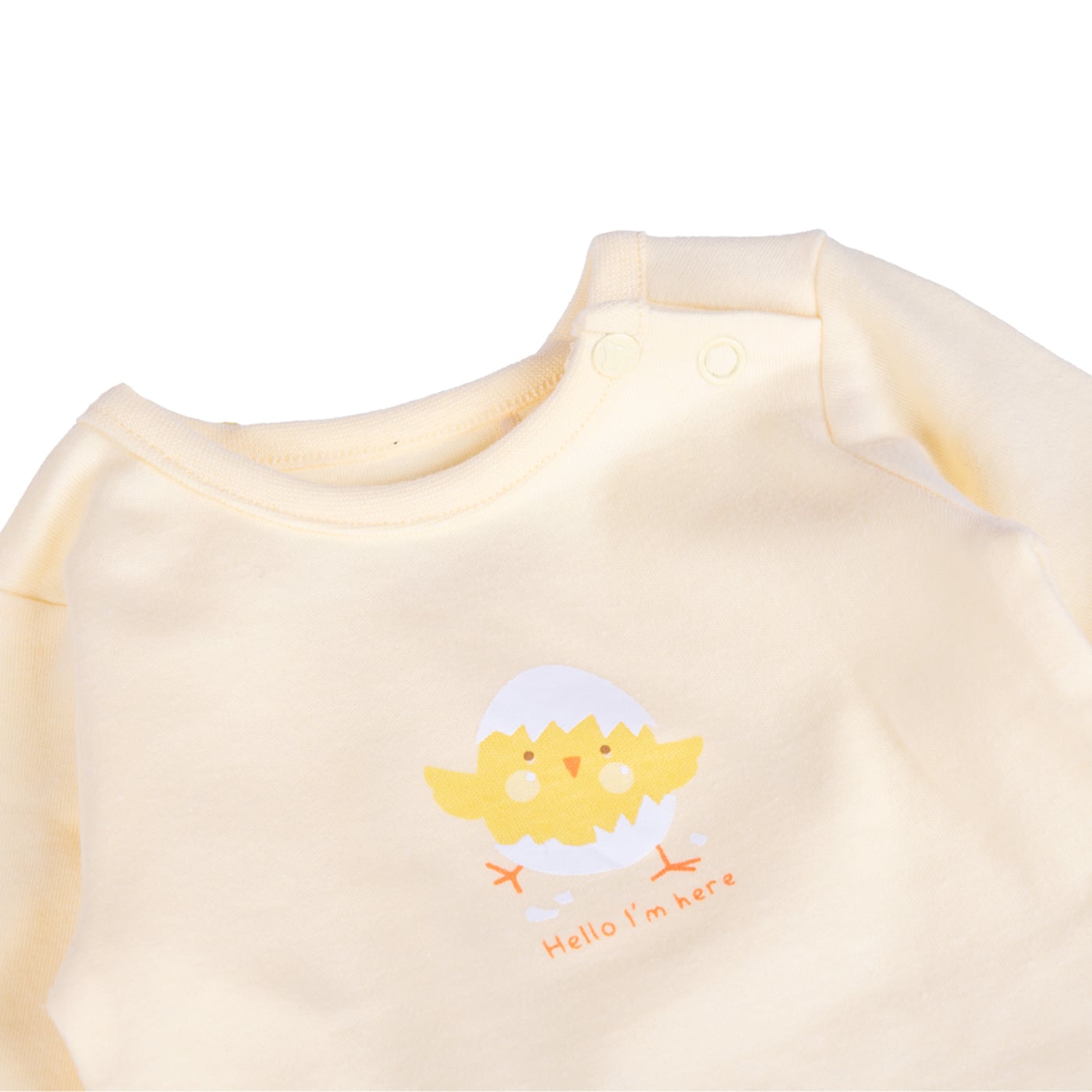 BODY  MULTICOLOR PILLIN ( PVB228-25SUR ) - 4