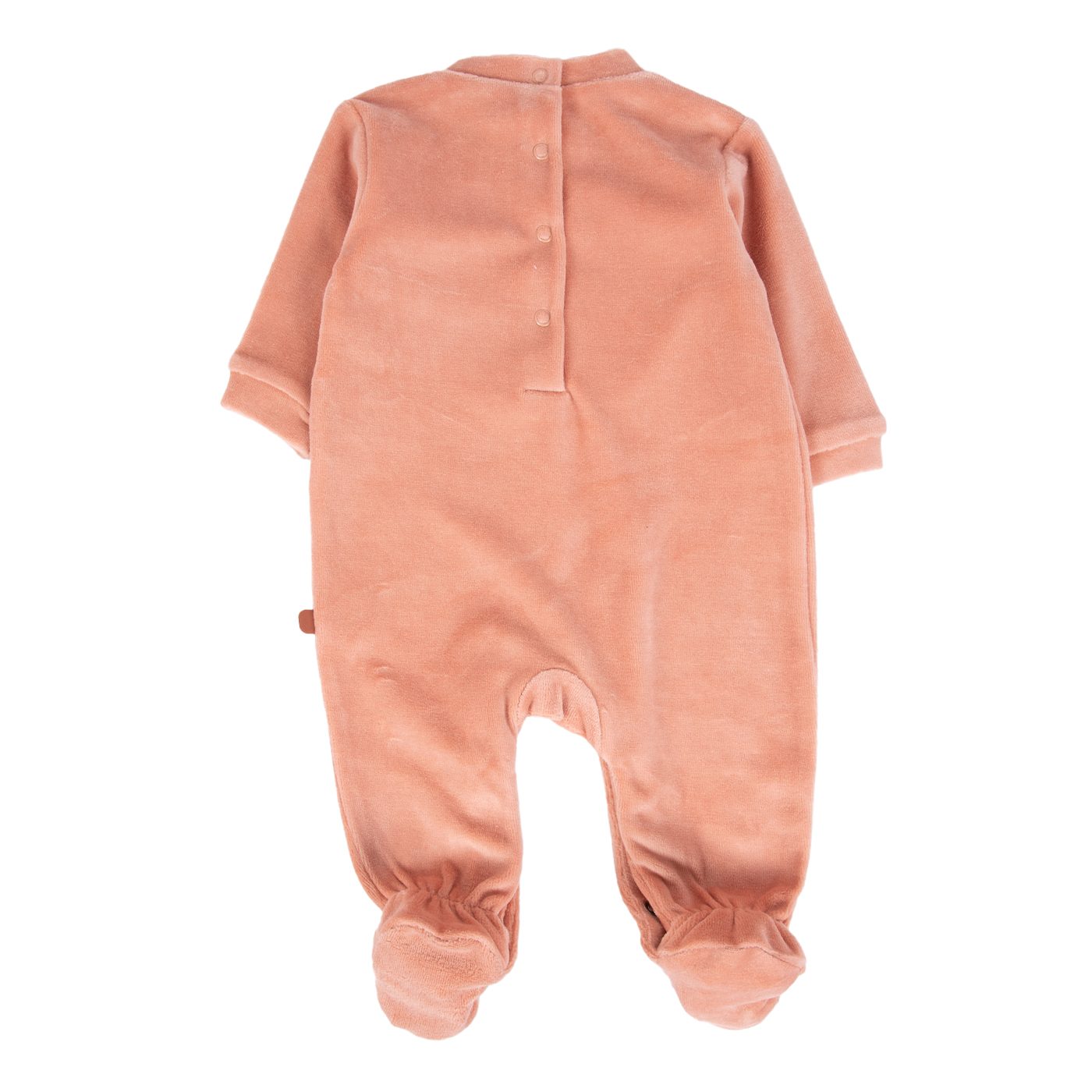 OSITO BEBE ROJO PILLIN ( PVB315-25TCA ) - ROJO - 00 - 4