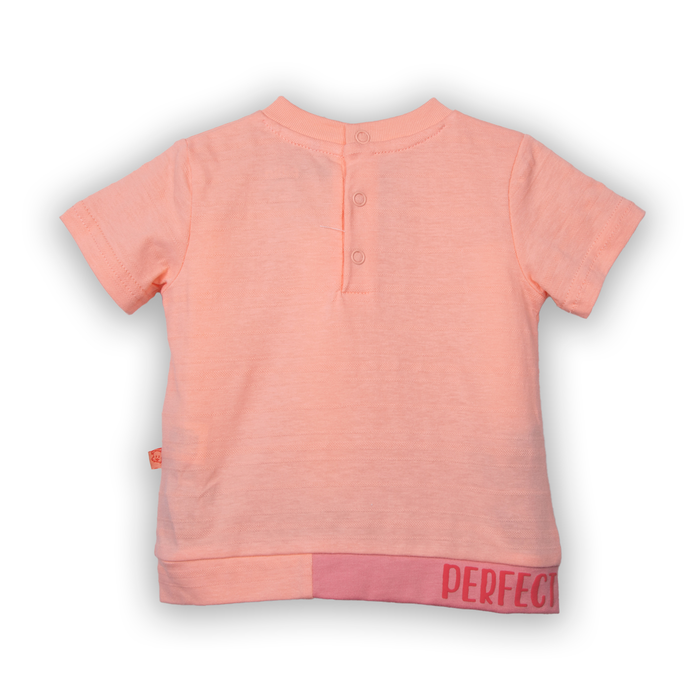 POLERA NIÑO NARANJO PILLIN (PVC647-25NAR24M) - 3