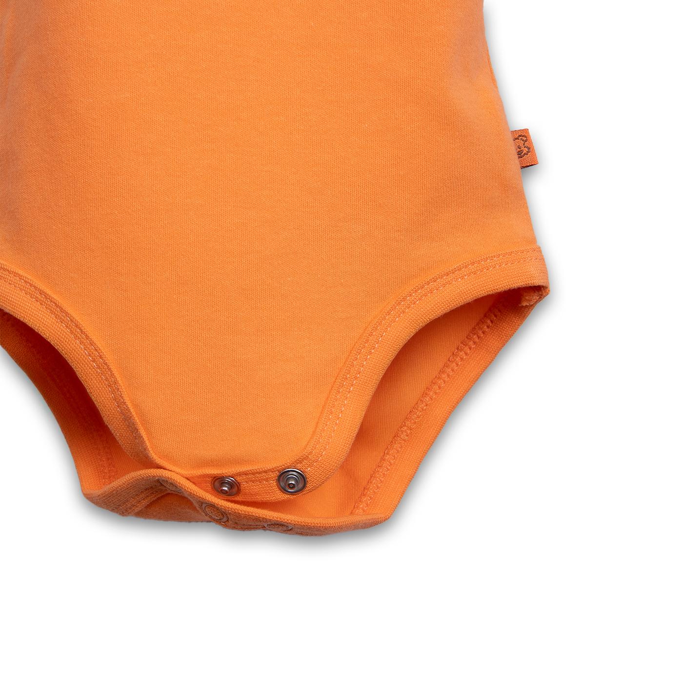 BODY SURTIDO PILLIN (PVC204-25SUR) - 5