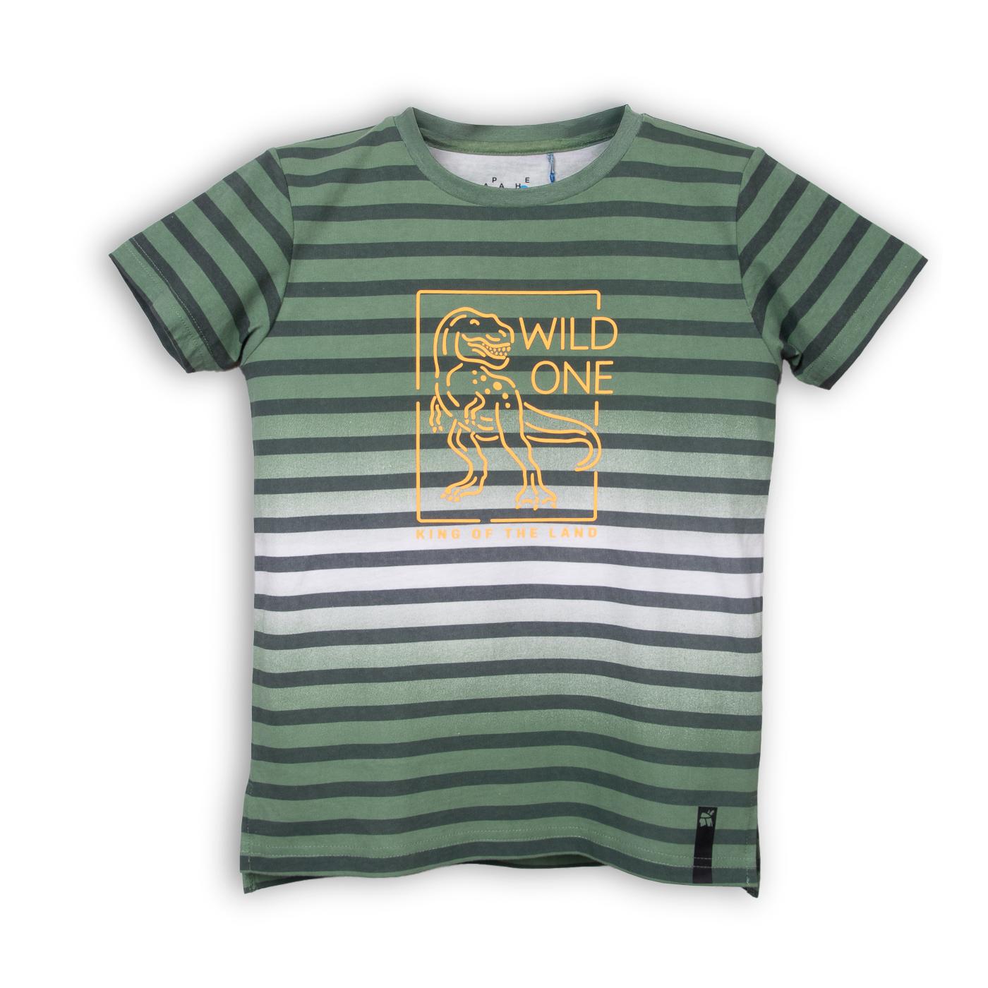 POLERA NIÑO VERDE PILLIN (PVC642-25VER) - 1