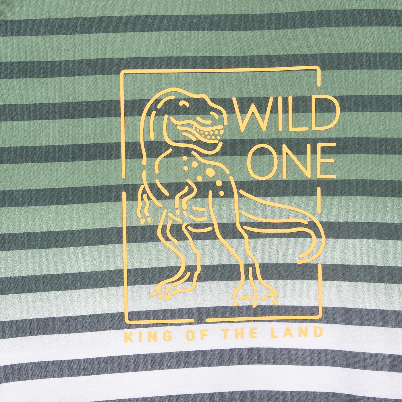 POLERA NIÑO VERDE PILLIN (PVC642-25VER) - 3