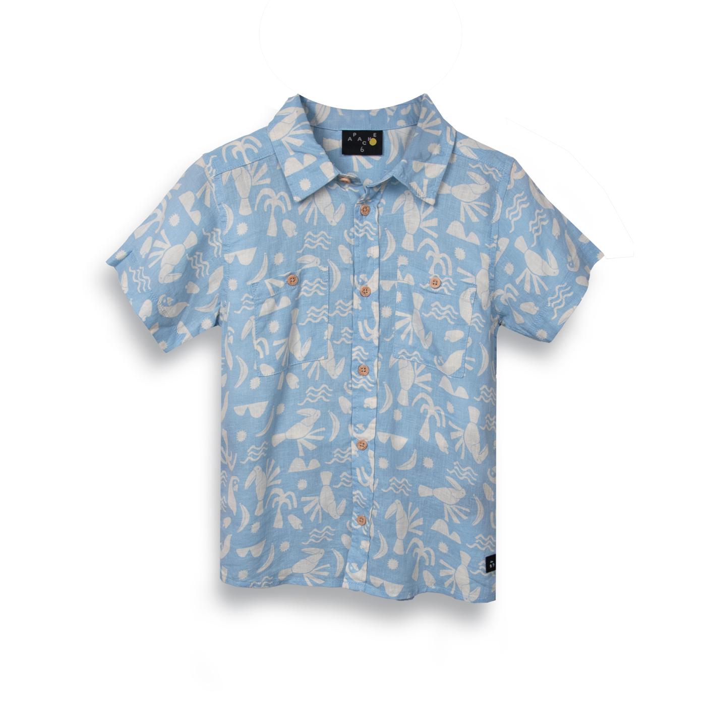 CAMISA NIÑO CELESTE PILLIN (PVC813-25CEL) - 1