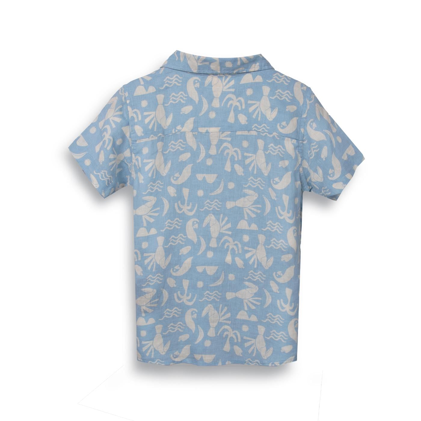 CAMISA NIÑO CELESTE PILLIN (PVC813-25CEL) - 2