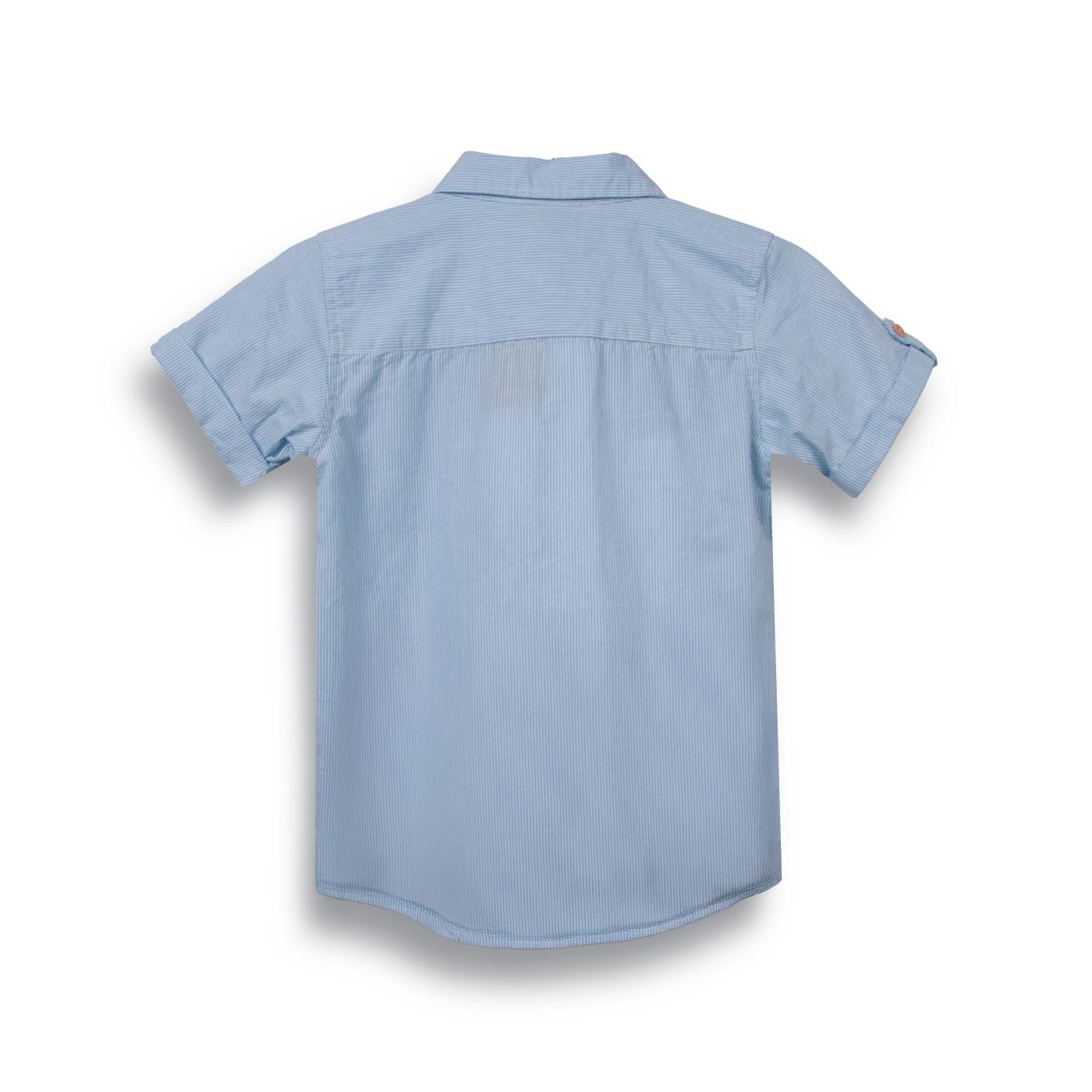 CAMISA NIÑO CELESTE PILLIN (PVC823-25CEL) - 2