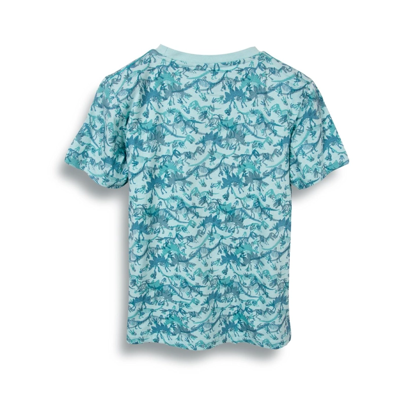 POLERA NIÑO VERDE PILLIN (PVC643-25VER) - 1