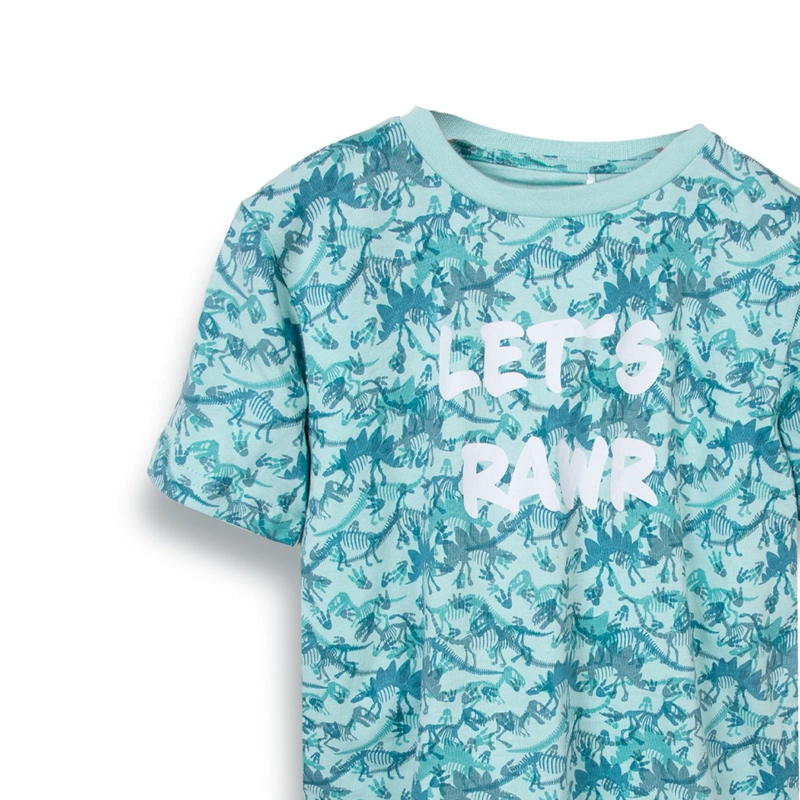 POLERA NIÑO VERDE PILLIN (PVC643-25VER) - 2
