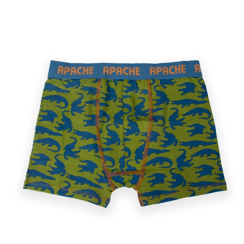 CALZONCILLO NIÑO MULTICOLOR PILLIN (PRB216-25SUR) - 4