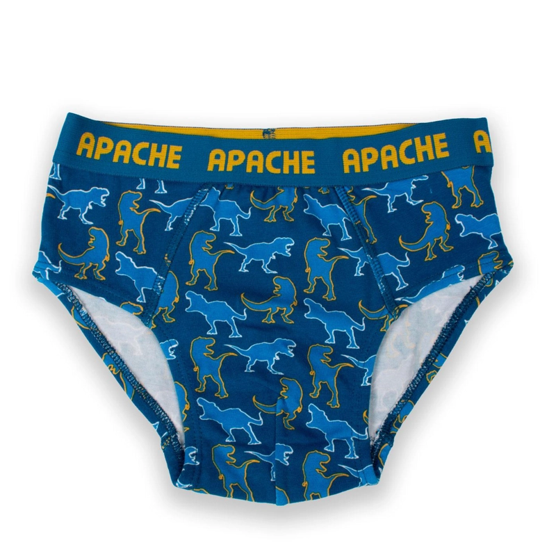 CALZONCILLO NIÑO MULTICOLOR PILLIN (PRB218-25SUR) - 3