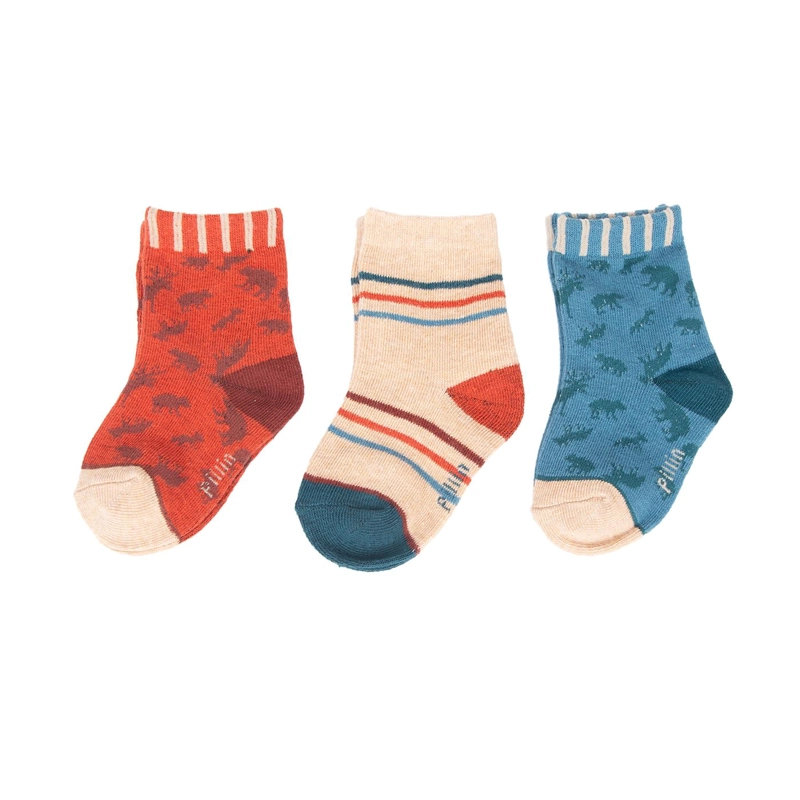 CALCETINES  MULTICOLOR NIÑO PILLIN (PAD123-26SUR) - 1