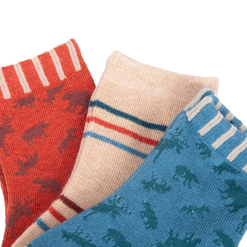 CALCETINES  MULTICOLOR NIÑO PILLIN (PAD123-26SUR) - 2