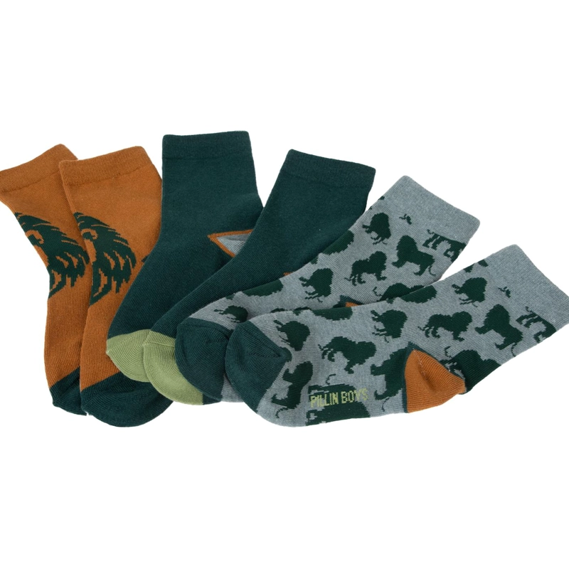 CALCETINES  MULTICOLOR NIÑO PILLIN (PAD145-26SUR) - 3