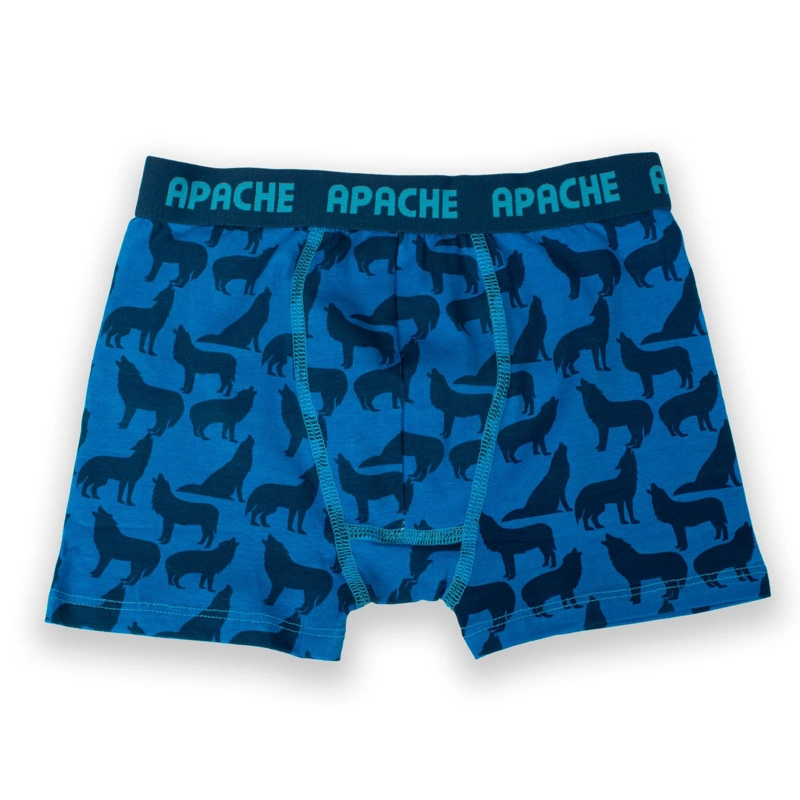 CALZONCILLO NIÑO MULTICOLOR PILLIN (PRB217-25SUR) - 4