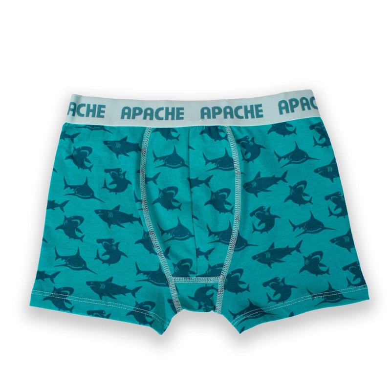 CALZONCILLO NIÑO MULTICOLOR PILLIN (PRB215-25SUR) - 2