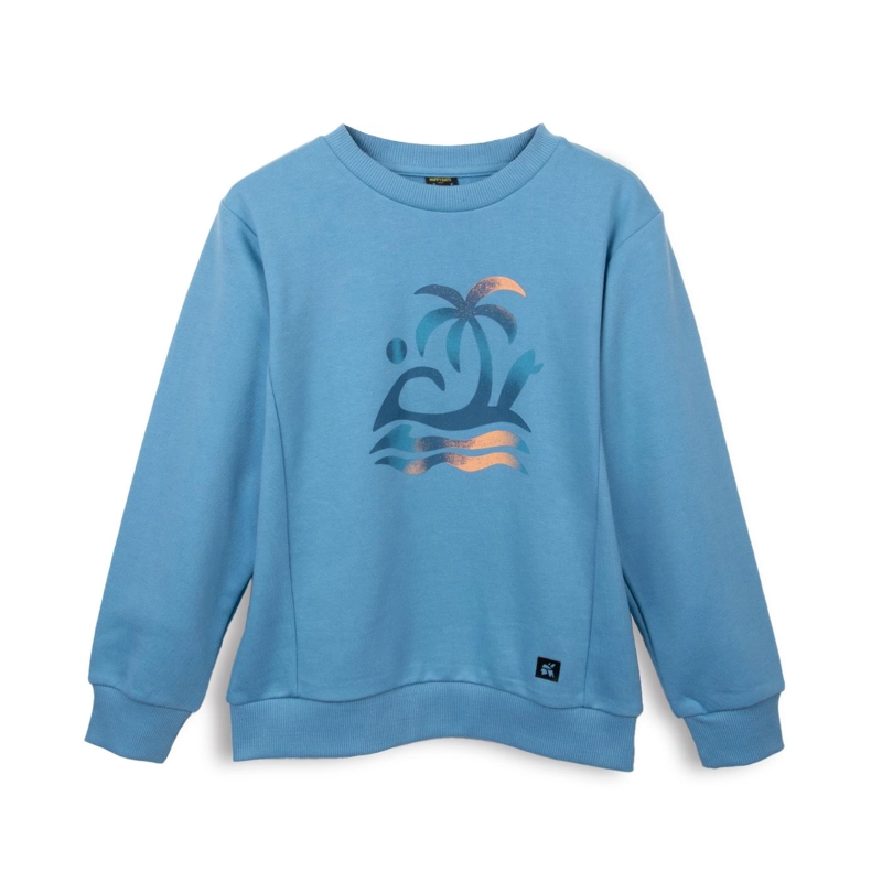 POLERON NIÑO CUELLO REDONDO ESTAMPADO AZUL PILLIN - 1