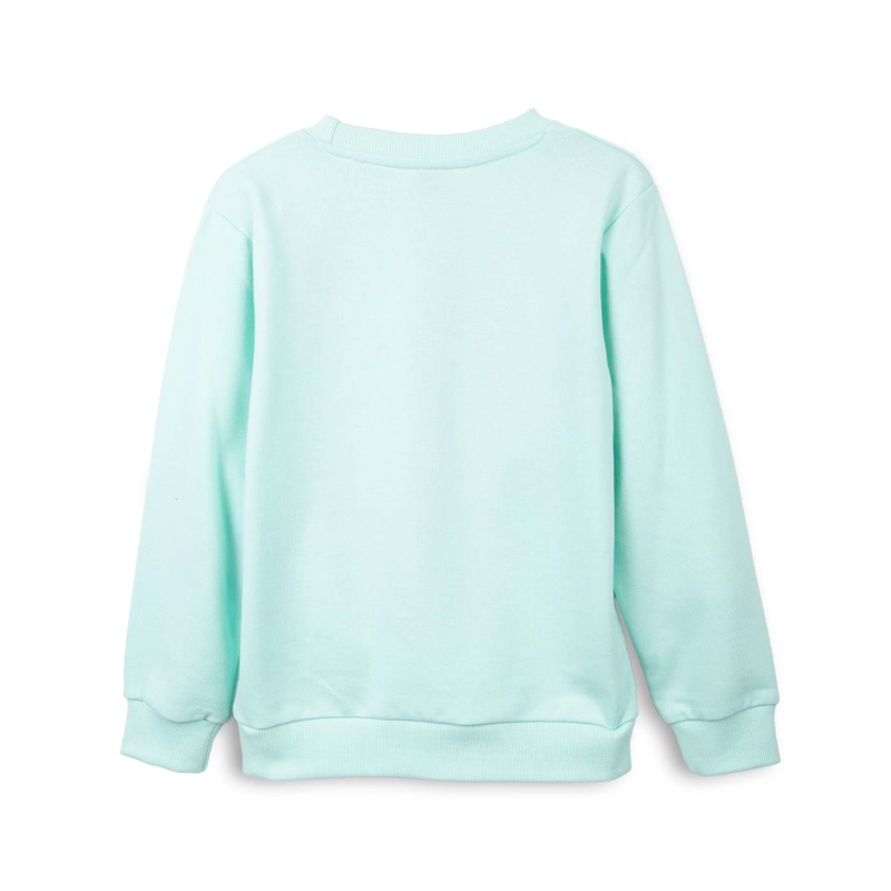 POLERON NIÑO CUELLO REDONDO ESTAMPADO MENTA PILLIN - 2