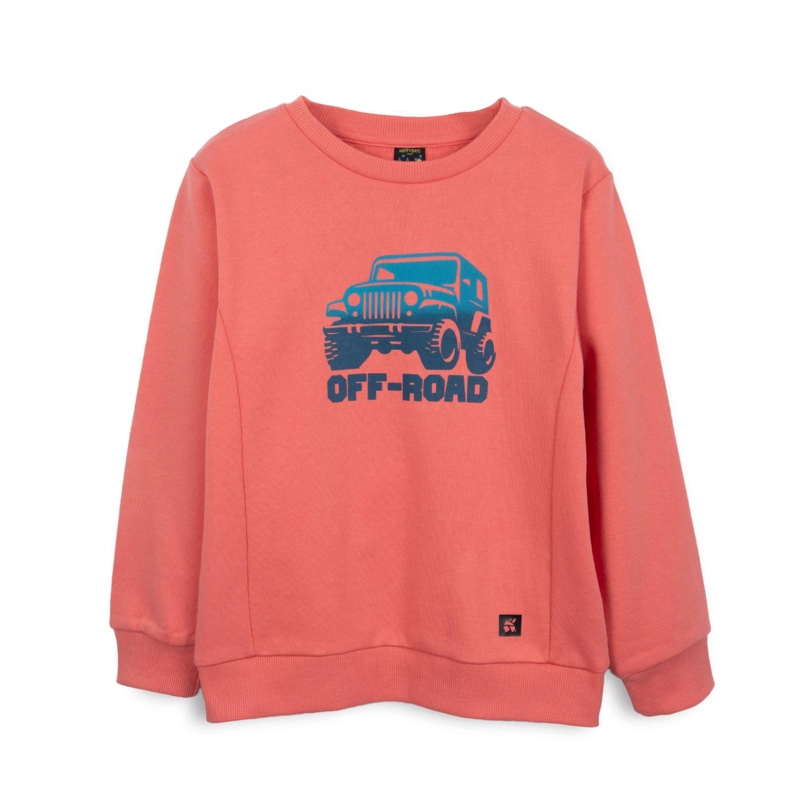 POLERON NIÑO CUELLO REDONDO ESTAMPADO CORAL PILLIN - 1