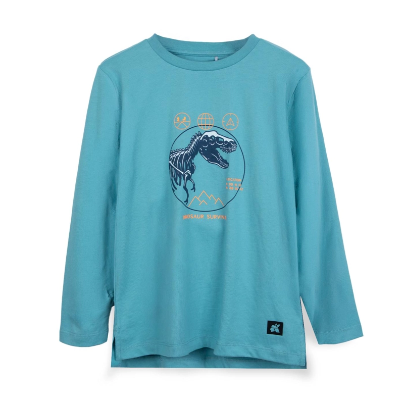 POLERA NIÑO MANGA LARGA ESTAMPADO DINO TURQUESA PILLIN - 1