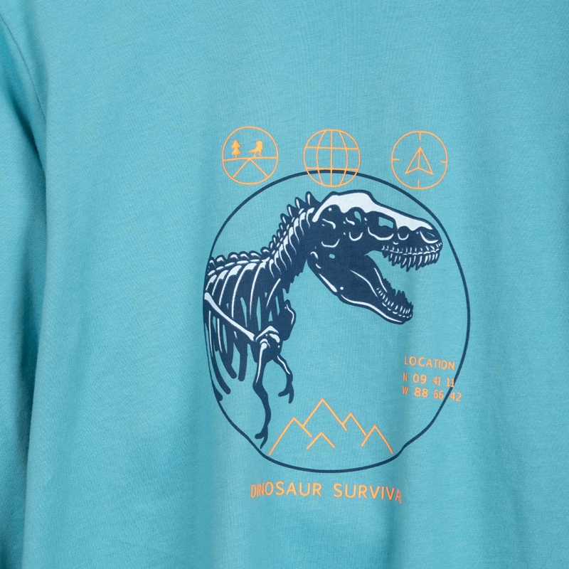 POLERA NIÑO MANGA LARGA ESTAMPADO DINO TURQUESA PILLIN - 3