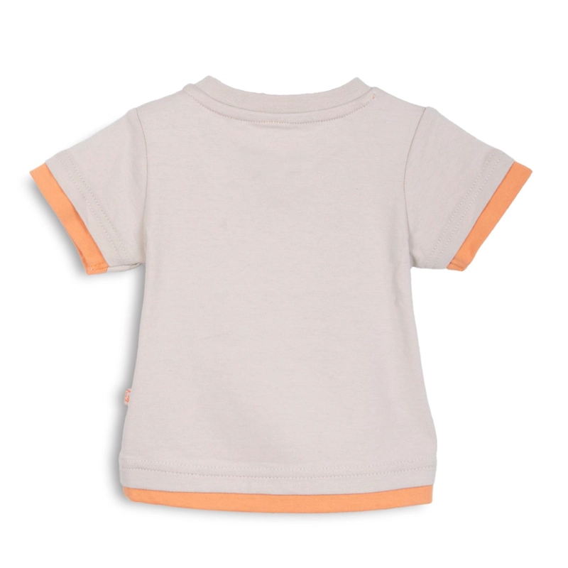 POLERA BEBE  NIÑO MANAGA CORTA ESTAMPADO IGUANA ARENA PILLIN - 2