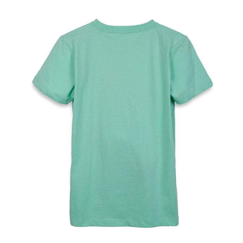 POLERA NIÑO MANGA CORTA ESTAMPADO TIGRE VERDE PILLIN - 2