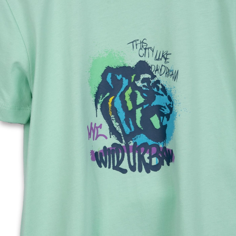 POLERA NIÑO MANGA CORTA ESTAMPADO TIGRE VERDE PILLIN - 3