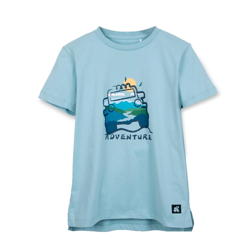 POLERA NIÑO MANGA CORTA ESTAMPADO AUTO CELESTE PILLIN - 1