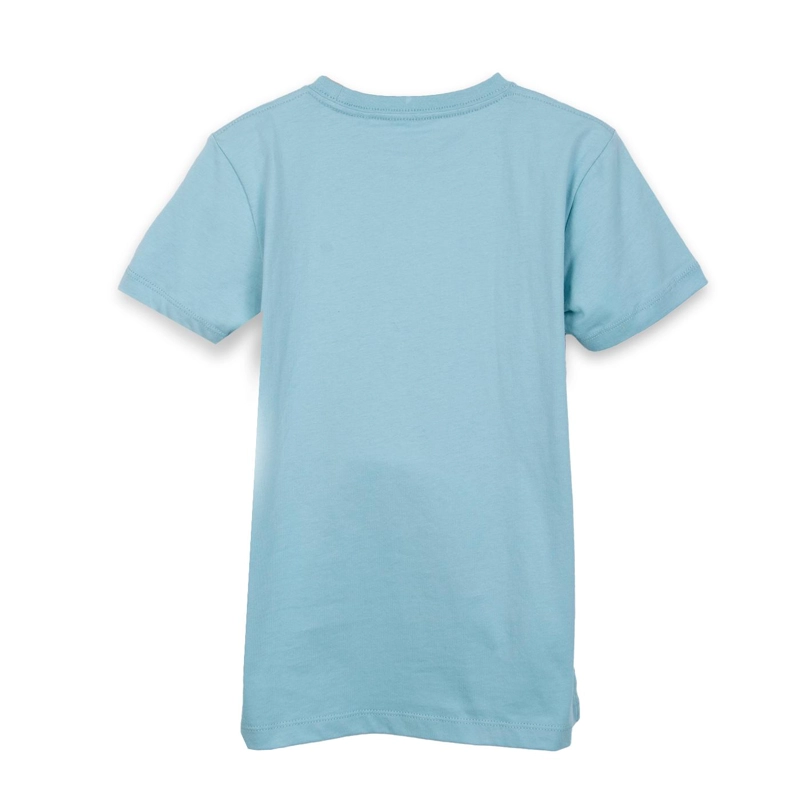 POLERA NIÑO MANGA CORTA ESTAMPADO AUTO CELESTE PILLIN - 2