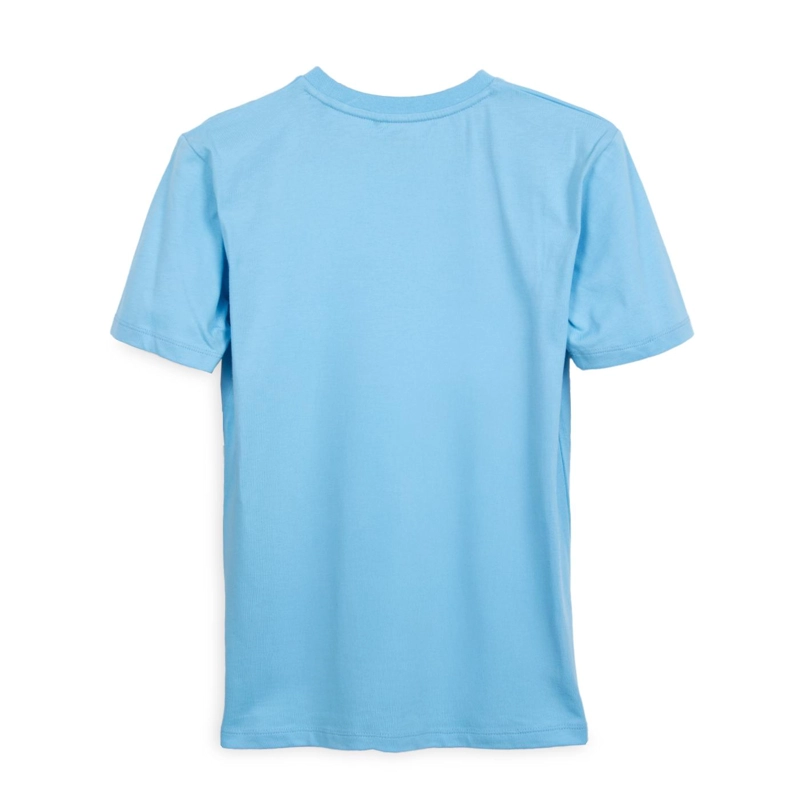 POLERA NIÑO MANGA CORTA ESTAMPADA CELESTE PILLIN - 2