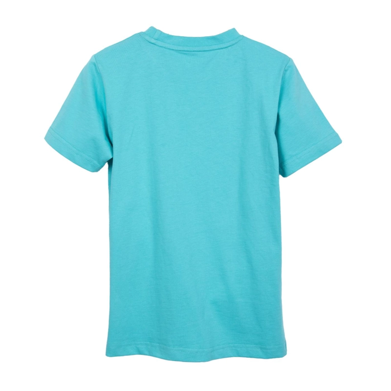 POLERA NIÑO MANGA CORTA ESTAMPADO DINO SKATE TURQUESA PILLIN - 2