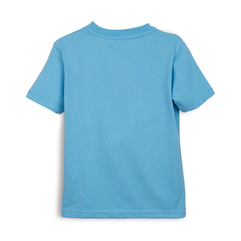 POLERA NIÑO MANGA CORTA ESTAMPADO SURF CELESTE PILLIN - 2